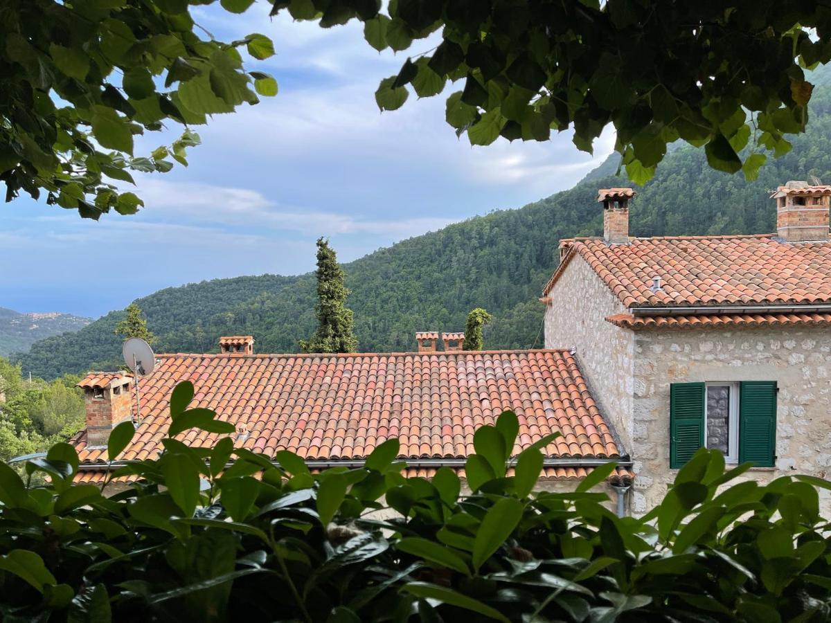 Apartment Castillon - Maritime Alpes Castillon (Alpes-Maritimes)